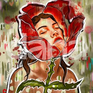 Sant Jordi 2